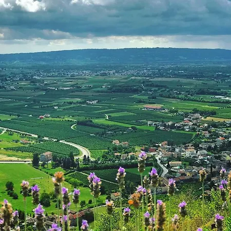 La Casa Di Bea Lejlighed Farra di Soligo