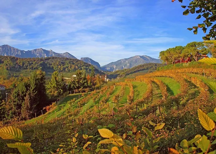 Apartman La Casa Di Bea Farra di Soligo